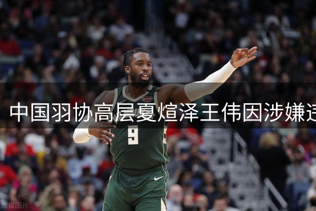 中国羽协高层夏煊泽王伟因涉嫌违纪违法被调查